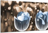 Glasschilderij Tulp - Blauw, Grijs - 120x70cm 1Luik - Foto Op Glas - Geen Acrylglas Schilderij - GroepArt 6000+ Glasschilderijen Art Collectie - Wanddecoratie - Woonkamer - Slaapkamer