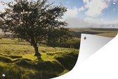 Tuinposters buiten Eenzame Haagdoornboom in het Nationaal park Exmoor in Engeland - 90x60 cm - Tuindoek - Buitenposter