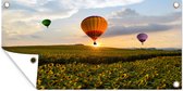 Tuinposter Luchtballon - Bloemen - Zon - 80x40 cm - Wanddecoratie Buiten - Tuinposter - Tuindoek - Schuttingposter - Tuinschilderij