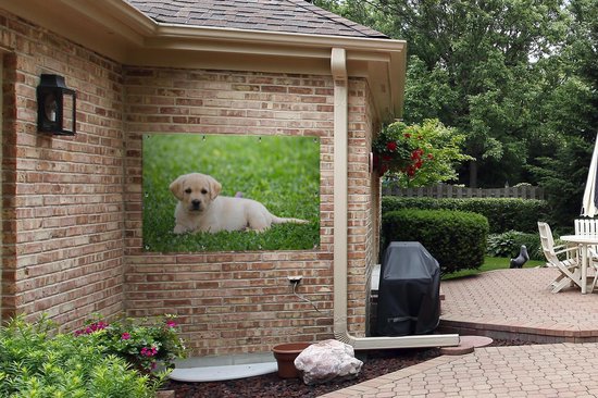 Affiche de jardin Puppy labrador dans l'herbe en vrac 120x80 cm - Toile de jardin / Toile d'extérieur / Peintures pour l'extérieur (décoration de jardin)