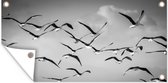 Photo Zwart et blanc d'un groupe de goélands volants affiche de jardin 120x80 cm - Toile de jardin / Toile d'extérieur / Peintures d'extérieur (décoration de jardin)