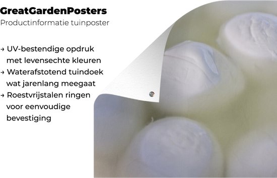 Mozzarella est immergé dans l'affiche de jardin d'eau 90x60 cm - Toile de jardin / Toile d'extérieur / Peintures pour l'extérieur (décoration de jardin)
