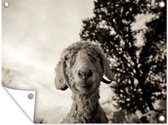 Tuinposter - Tuindoek - Tuinposters buiten - Nieuwsgierige geit ontdekt de camera - 120x90 cm - Tuin