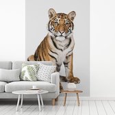 Behang jongenskamer - Fotobehang Tijger - Dieren - Wit - Jongetje - Jongens - Kids - Breedte 160 cm x hoogte 240 cm - Kinderbehang