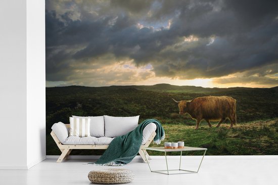 Papier peint Papier peint photo en vinyle - Highlander pendant le coucher du soleil largeur 450 cm x hauteur 300 cm - Tirage photo sur papier peint (disponible en 7 tailles)