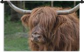 Tapisserie - Tissu mural - Highlander écossais - Nature - Portrait - 180x120 cm - Tapisserie