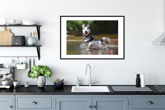 Photo encadrée - Cadre photo Husky dans l'eau noir avec passe-partout blanc 60x90 90x60 cm - Affiche encadrée (Décoration murale salon / chambre)