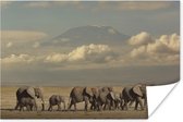 Poster Afrikaanse olifanten op de savanne - 90x60 cm