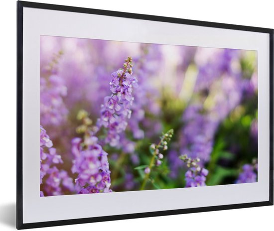 Fotolijst incl. Poster - Close up van hele lavendel in een veld - 60x40 cm - Posterlijst