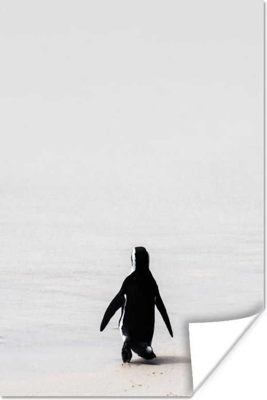 Poster Zwartvoetpinguïn minimalistisch