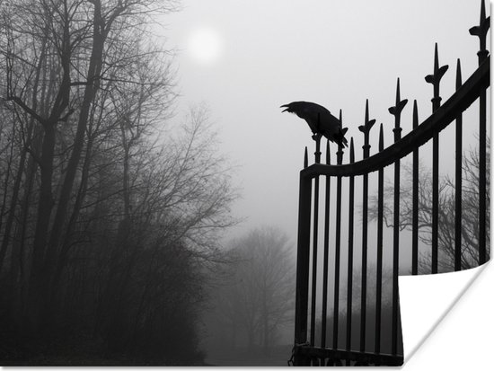 Kraai zit bovenop een zwart ijzeren hek in het zwart-wit poster 80x60 cm - Foto print op Poster (wanddecoratie woonkamer / slaapkamer) / Vogels Poster