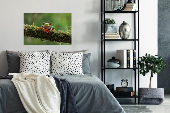 Poster Grenouille aux yeux rouges sur une branche couverte - 60x40 cm