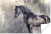 Portret van het mooie Friese paard stellen tegen wolken poster 120x80 cm - Foto print op Poster (wanddecoratie woonkamer / slaapkamer) / Boerderijdieren Poster