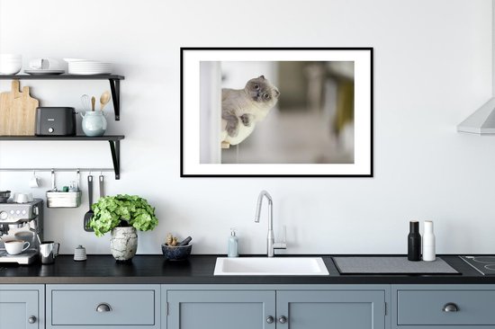 Chaton regarde le cadre photo de l'appareil photo noir avec tapis blanc 60x90