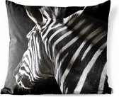 Buitenkussens - Tuin - Close-up van een zebra op een zwarte achtergrond - 45x45 cm