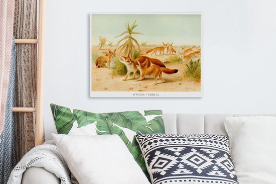 Illustration du renard Fennec dans le désert toile 40x30 cm - petit - Tirage photo sur toile (Décoration murale salon / chambre) / Animaux sauvages Peintures sur toile