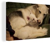 Canvas Schilderij Moeder met puppy - 90x60 cm - Wanddecoratie