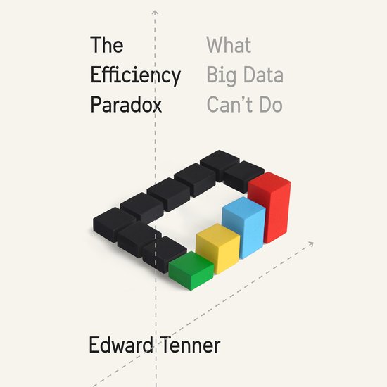 The Efficiency Paradox - cover