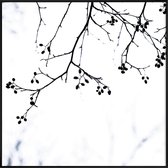 JUNIQE - Poster met kunststof lijst Winter Silhouettes 4 -20x20 /Wit &