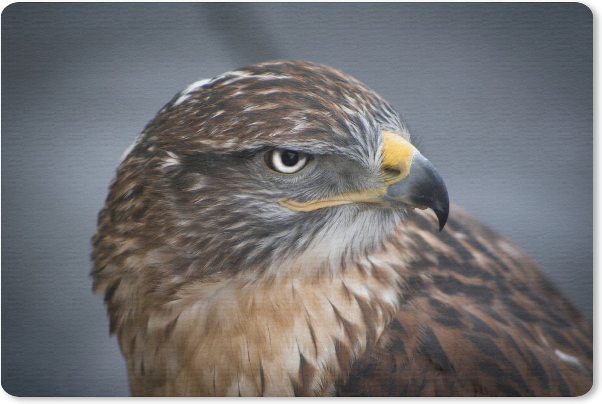 Muismat Buizerd - Een buizerd van dichtbij muismat rubber - 27x18 cm - Muismat met foto