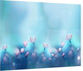 Bloemen in het blauwea licht - Foto op Plexiglas - 90 x 60 cm
