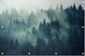 Bomen met mist - Foto op Tuinposter - 90 x 60 cm