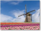 Bloemenveld en molen - Amsterdam - 40x30 Canvas Liggend - Landschap - Natuur - Bloemen