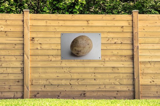 Un gros plan d'une pomme de terre sur fond blanc Affiche de jardin 90x60 cm - Toile de jardin / Toile d'extérieur / Peintures d'extérieur (décoration de jardin)