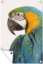 Tuindecoratie Elegante blauwe ara papegaai op witte achtergrond - 40x60 cm - Tuinposter - Tuindoek - Buitenposter