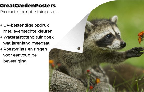Posters de jardin extérieur Raton laveur - Fleurs - Oranje - 90x60 cm - Toile de jardin - Affiche extérieure