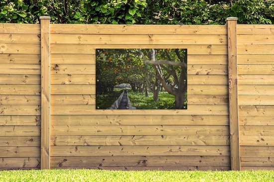 Affiche jardin - Toile jardin - Posters de jardin extérieur - Orangeraie en Espagne - 120x80 cm - Jardin