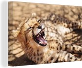 Canvas Schilderij Cheetah - Dier - Close up - 30x20 cm - Wanddecoratie