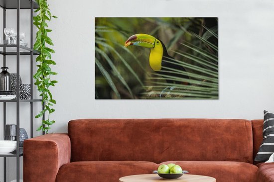 Gros plan d'un toucan mangeant 140x90 cm - Tirage photo sur toile (Décoration murale salon / chambre)