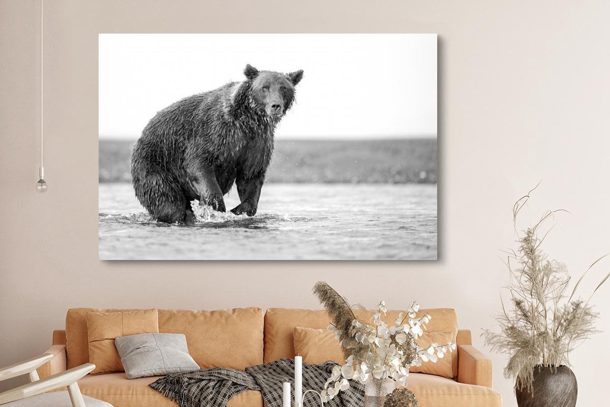 Tableau sur toile tendue représentant un ours grizzly attrapant un poisson  - Décoration murale prête à être accrochée