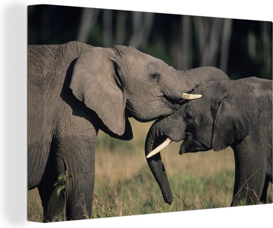 Toile d'éléphants gambadeurs 2cm 30x20 cm - petit - Tirage photo sur toile (Décoration murale salon / chambre) / animaux sauvages Peintures sur toile