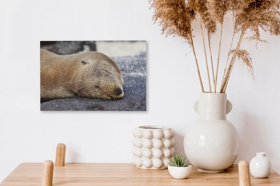 Tableau sur toile Gros plan - Animaux - Pierres - 30x20 cm - Décoration murale