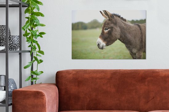 Gros plan âne nain 60x40 cm - Tirage photo sur toile (Décoration murale salon / chambre) / Peintures sur toile animaux sauvages