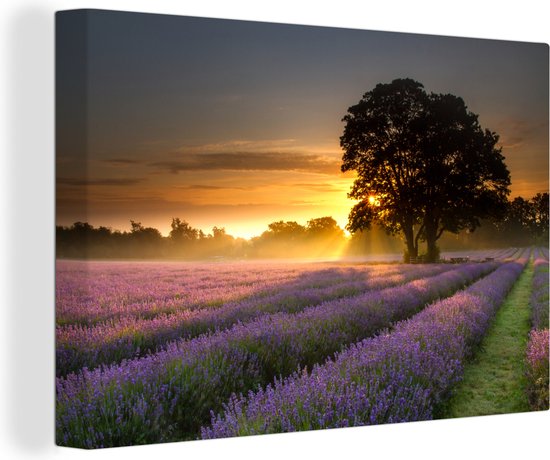 Canvas schilderij 150x100 cm - Wanddecoratie Mayfield lavendel veld met een mistige zonsopgang - Muurdecoratie woonkamer - Slaapkamer decoratie - Kamer accessoires - Schilderijen