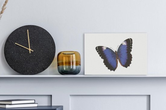Illustration d'un papillon bleu avec bords noirs 30x20 cm - petit - Tirage photo sur toile (Décoration murale salon / chambre)
