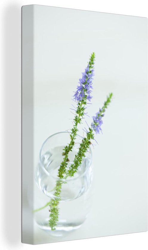 Deux plantes du long prix d'honneur dans un vase en verre Toile 20x30 cm - petit - Tirage photo sur toile (Décoration murale salon / chambre)