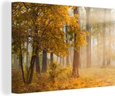 Canvas Schilderij Licht - Bomen - Bladeren - 90x60 cm - Wanddecoratie