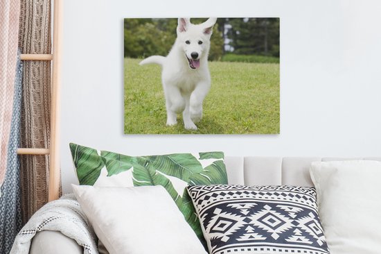 Canvas Schilderij De puppy van een witte Duitse herder - 40x30 cm - Wanddecoratie