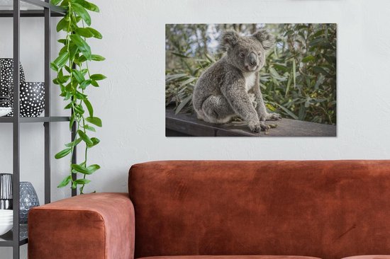 Peintures sur toile - Un koala assis sur une étagère - 90x60 cm - Décoration murale