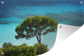 Tuindecoratie Keltisch strand van Corsica - 60x40 cm - Tuinposter - Tuindoek - Buitenposter