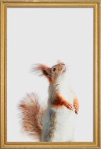 JUNIQE - Poster met houten lijst Red Squirrel II -60x90 /Grijs &