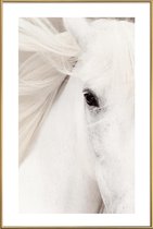 JUNIQE - Poster met kunststof lijst White Horse -40x60 /Grijs & Wit