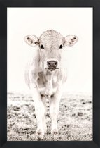 JUNIQE - Poster in houten lijst Blonde Cattle Maverick -40x60 /Ivoor