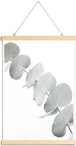JUNIQE - Posterhanger Eucalyptus White 3 -20x30 /Groen & Wit