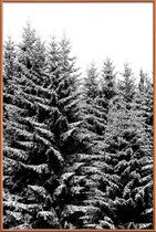 JUNIQE - Poster met kunststof lijst Besneeuwde kerstbomen -40x60