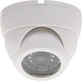 WL4 EDI-LED-W realistische dummy beveiligingscamera voor binnen met knipperende LED